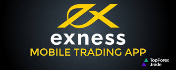 Comprehensive Exness ECN Review A Deep Dive into Trading Platforms Comprehensive Exness ECN Review A Deep Dive into Trading Platforms