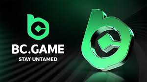 Discover BC.Game Mirror Working Links for Seamless Gaming
